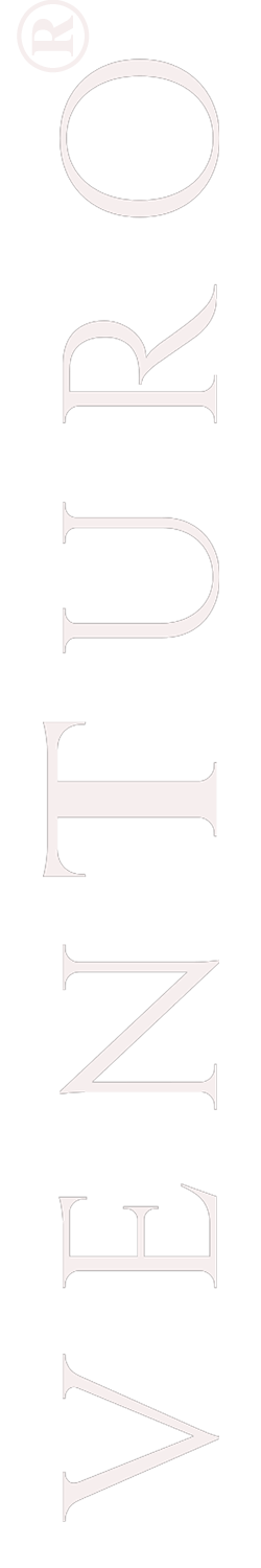 Venturo - Logo